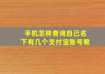 手机怎样查询自己名下有几个支付宝账号呢