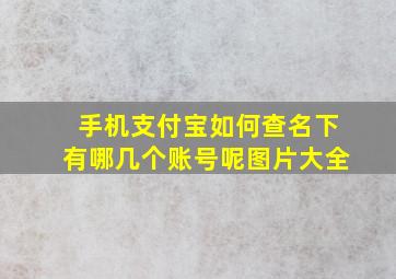 手机支付宝如何查名下有哪几个账号呢图片大全