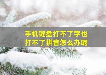 手机键盘打不了字也打不了拼音怎么办呢