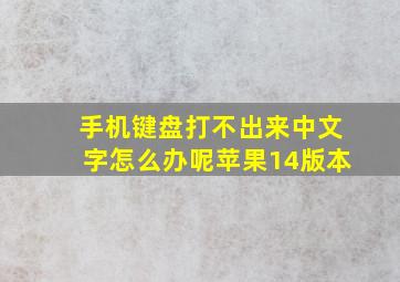 手机键盘打不出来中文字怎么办呢苹果14版本