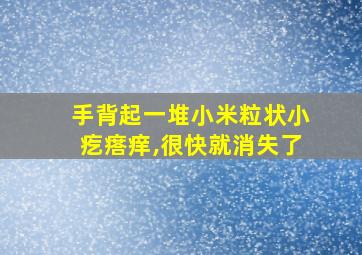 手背起一堆小米粒状小疙瘩痒,很快就消失了