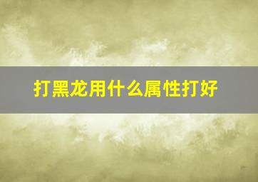 打黑龙用什么属性打好