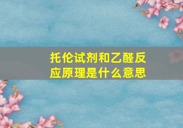 托伦试剂和乙醛反应原理是什么意思