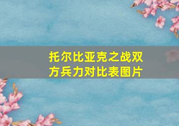 托尔比亚克之战双方兵力对比表图片