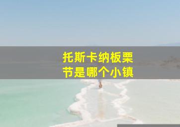 托斯卡纳板栗节是哪个小镇