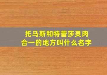 托马斯和特蕾莎灵肉合一的地方叫什么名字