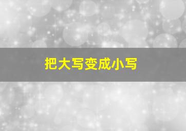 把大写变成小写