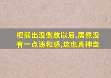 把熊出没倒放以后,居然没有一点违和感,这也真神奇