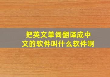 把英文单词翻译成中文的软件叫什么软件啊