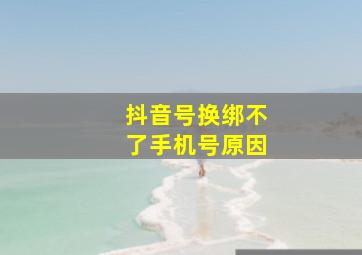 抖音号换绑不了手机号原因