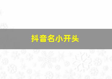 抖音名小开头