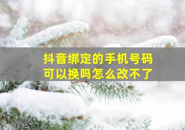 抖音绑定的手机号码可以换吗怎么改不了