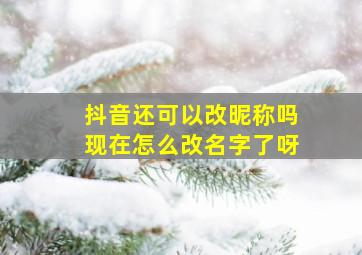 抖音还可以改昵称吗现在怎么改名字了呀