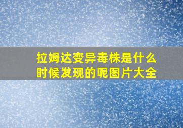 拉姆达变异毒株是什么时候发现的呢图片大全