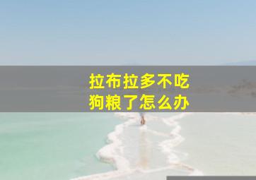 拉布拉多不吃狗粮了怎么办