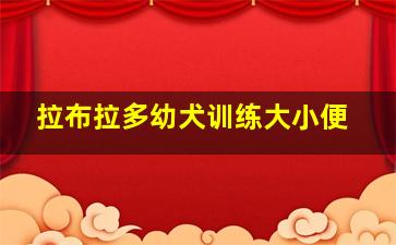 拉布拉多幼犬训练大小便