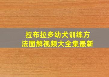 拉布拉多幼犬训练方法图解视频大全集最新