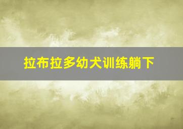 拉布拉多幼犬训练躺下