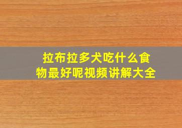 拉布拉多犬吃什么食物最好呢视频讲解大全