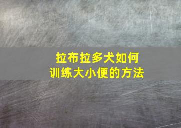 拉布拉多犬如何训练大小便的方法