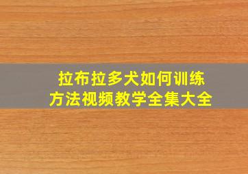 拉布拉多犬如何训练方法视频教学全集大全