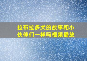 拉布拉多犬的故事和小伙伴们一样吗视频播放