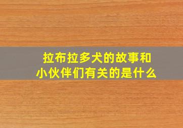 拉布拉多犬的故事和小伙伴们有关的是什么