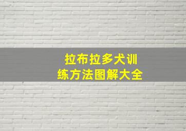 拉布拉多犬训练方法图解大全