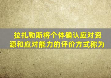 拉扎勒斯将个体确认应对资源和应对能力的评价方式称为