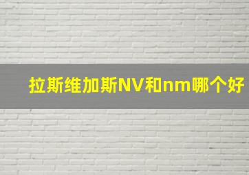 拉斯维加斯NV和nm哪个好