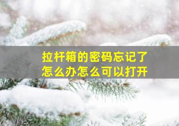 拉杆箱的密码忘记了怎么办怎么可以打开