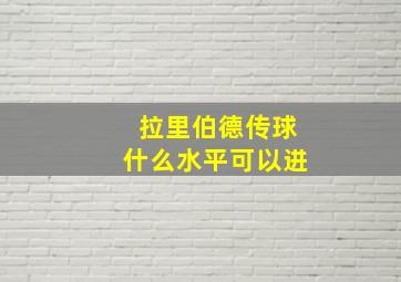 拉里伯德传球什么水平可以进