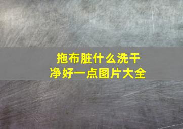 拖布脏什么洗干净好一点图片大全