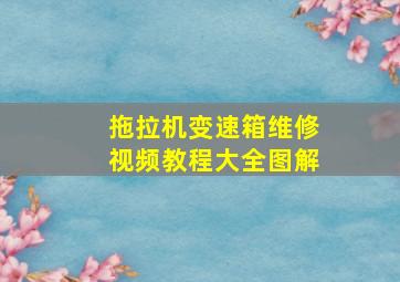 拖拉机变速箱维修视频教程大全图解