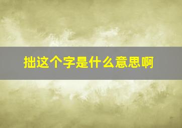 拙这个字是什么意思啊