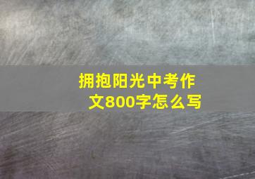 拥抱阳光中考作文800字怎么写