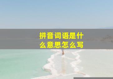 拼音词语是什么意思怎么写