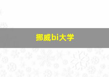 挪威bi大学