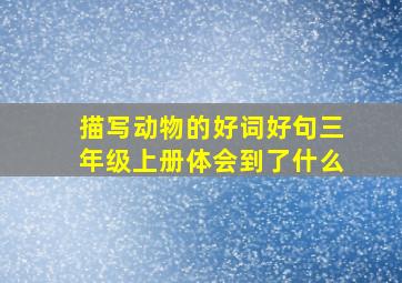 描写动物的好词好句三年级上册体会到了什么