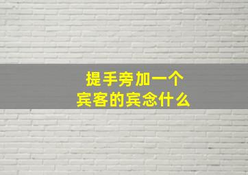 提手旁加一个宾客的宾念什么