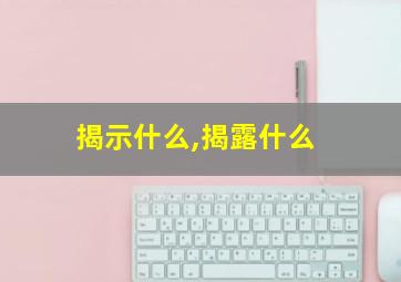 揭示什么,揭露什么