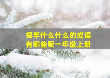 揭竿什么什么的成语有哪些呢一年级上册