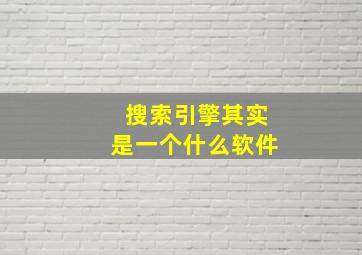 搜索引擎其实是一个什么软件