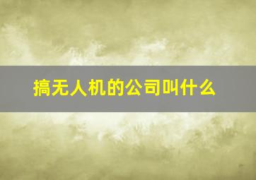 搞无人机的公司叫什么