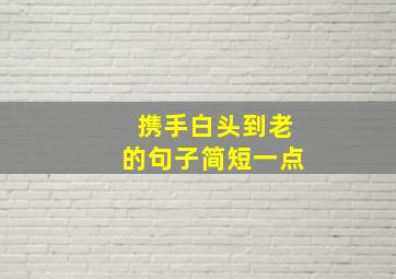 携手白头到老的句子简短一点