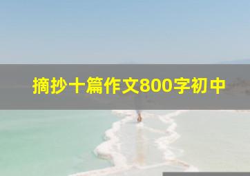 摘抄十篇作文800字初中