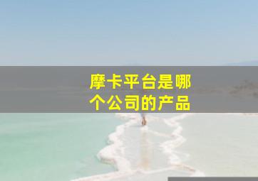 摩卡平台是哪个公司的产品