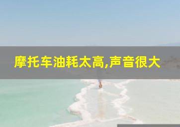 摩托车油耗太高,声音很大