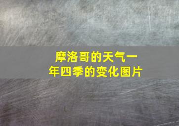 摩洛哥的天气一年四季的变化图片