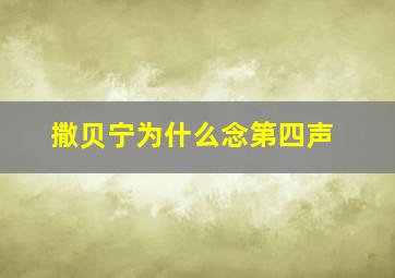 撒贝宁为什么念第四声